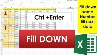 Fill Down Text with One Click Using Ctrl + G and Select Blank in Excel#excel