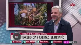 GONZALO LENZANO - El aceite de oliva que posiciona San Juan