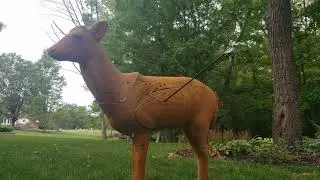6 Arrows - 2 September 2020 Shooting from Mantis Tree Saddle