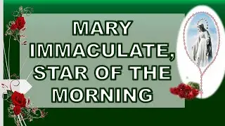 Mary Immaculate, Star of the Morning Song Lyrics