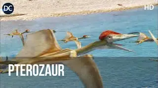 Pterozaur &mdash; największy latający gatunek odkryty przez człowieka | Ciekawostki o dinozaurach