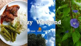 සති අන්තයක්🌸Weekend 🍃Simple dish🌿 garden walk 🩵Peace in sky #aesthetic #weekendvlog #srilanka #green