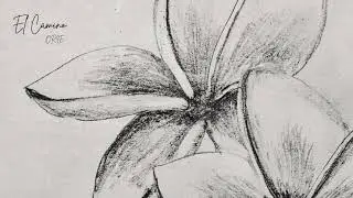 ORIE - el camino / את הדרך / الطريق