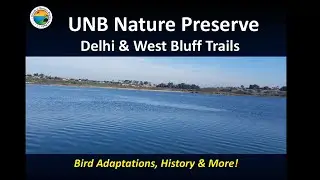 Virtual Hike of Upper Newport Bay Park Preserve