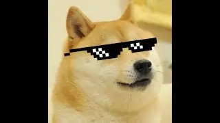 MLG Doge