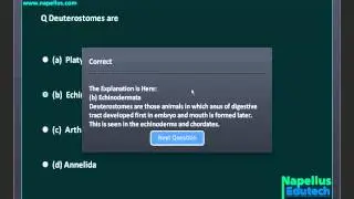 Animal Classification Smart Test 2 , AIPMT Biology