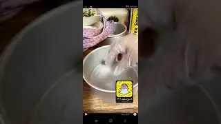 دورة كيك : اليوم الأول