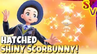 Shiny Scorbunny Hatched After Just 33 Eggs! Live Shiny Reaction in Pokemon Violet