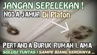 Cara Mengatasi Kebocoran Atap Spandek & Perbaikan Cat Plafon Berjamur - Noda Hitam Selalu Tembus Cat