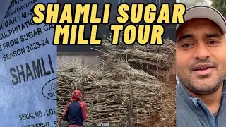 Shamli Sugar Mill Tour / Daily Vlogs
