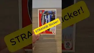 STRANGE Sticker Found - EFL Sticker Collection - Day 33, Part 1