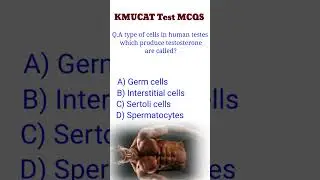 #kmucat / kmucat test preparation2024/  Most important Mcqs for kmu test/ #biology #mdcatmcqs