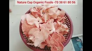 NATURE CAP ORGANIC FOODS Journey with Our by- Products