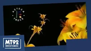 Tandas Comerciales Azteca Trece | A&ntilde;o 2006