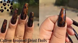 Cateye Leopard Print Nails