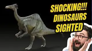 BAFFLING REAL DINOSAUR SIGHTINGS THAT STUNNED SCIENTISTS. BE STUNNED!!!