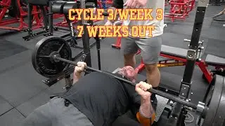 Cycle 3/Week 3 - 7 Weeks Out