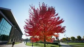 Fall at Kent State 2024