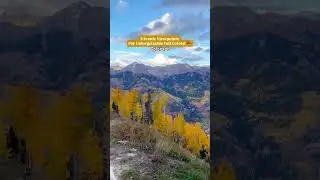 5 Scenic Viewpoints For Unforgettable Fall Colors: Colorado!