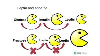 Insulin, Inflammation and Aging