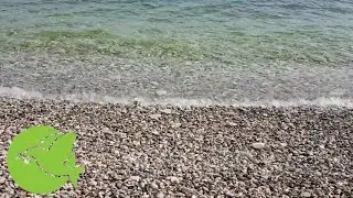 Water Sounds for Sleep or Focus Stress Relief Stream 1 Hours / Stress Relief World