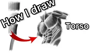 How I draw torsos 