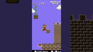 Koopa Troopa Gets Stuck in the Floor?