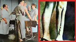 Ravensbr&uuml;ck (1945): Medical Experiments on Women Prisoners