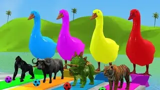 6 Giant Duck Cartoon, Tiger, Leopard, Gorill aT-Rex Triceratops, buffalo Wild Animals Crossing Fond
