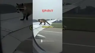 Взлет духа ПРЕРВАН ЕНОТОМ 😳