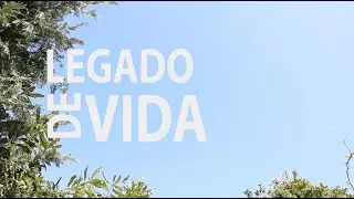 LEGADO DE VIDA