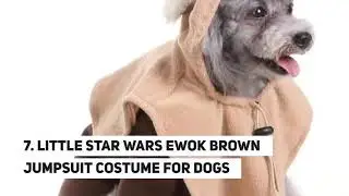 10 Cute & Funny Christmas 2020 Gift Ideas Every Dog Parent Will Love!