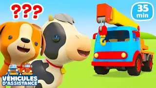 Les aventures des voitures 🚗 et des animaux 🐾 : Pourquoi les vaches se sont enfuies ?