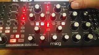 Moog Subharmonicon - Seq 001 - Grm Tools' Evolution - (No Talking)