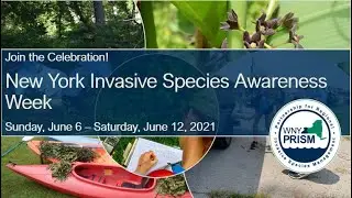 2021 New York Invasive Species Awareness Week Kick-off Webinar