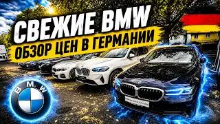 ЦЕНЫ НА BMW В ГЕРМАНИИ 2026  🇩🇪🚘💥
