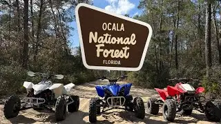 Ocala National Forest ATV Trails