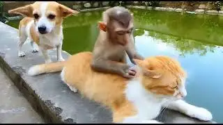 Funny Moments &mdash; Super Weird Reactions #trending #funny
