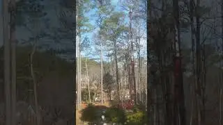 200 feet up Arbor Pro 92HD