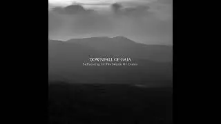 Downfall Of Gaia - Suffocating In The Swarm Of Cranes (2012) post metal | dark hardcore black metal
