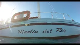Marlin del Rey Tamarindo Catamaran Sunset Tour - Whales - Dolphins - Fish