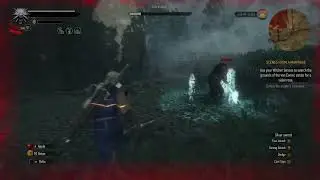 Witcher 3 caretaker