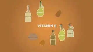 Bioavailability of Vitamin E   Juice Plus+