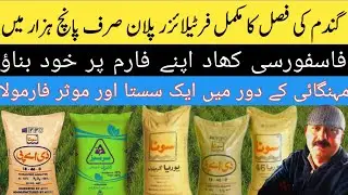 Wheat Fertilizer Management | Home Made Phosphorus Fertilizer