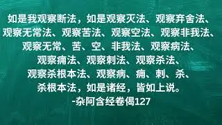 #佛 #佛法 #佛经 #佛教 #杂阿含经