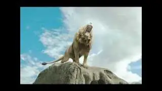 Petra-Not of This World (tradução)