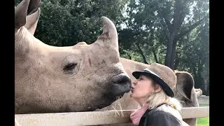 Over and Above Africa Rhino Dehorning & School Children Project - Phinda