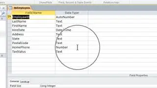Setting Up Data Types in Microsoft Access