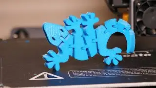 Weekend Print - Flexi Gecko