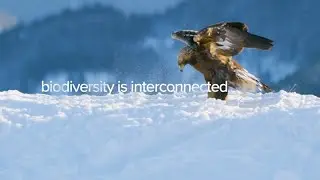 UNDP at COP15, the UN Biodiversity Conference